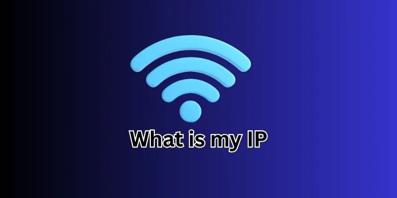 My IP